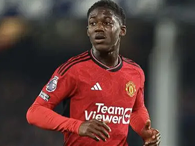 那不勒斯中场引援新动向:若昂·戈麦斯成梅努备选